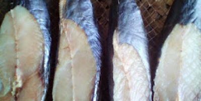 Cung cấp Cá thu 1 nắng và các loại cá 1 nắng khác – DNTN thực phẩm Hoa Phượ