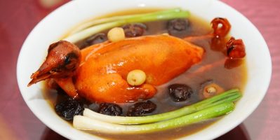 Cách làm món chim bồ câu hầm thuốc bắc ngon bổ cho cả gia đình