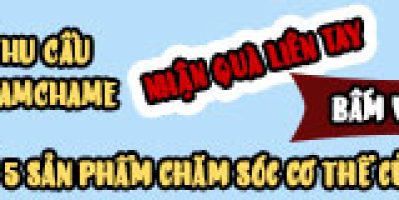 Đến Australia Dạo Bước Trên Bãi Biển Vỏ Sò