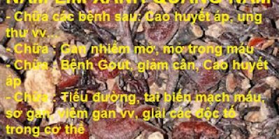 Nấm linh chi rừng…(hiếm, quý)