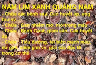 Ảnh 1