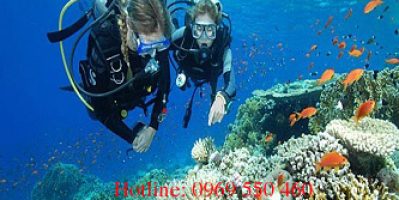 Tour 3 đảo trọn gói Nha Trang – 180K – DT 0969 550 460
