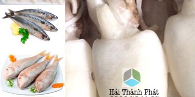 Cung cấp hải sản đông lạnh giá rẻ chất lượng đáng tin cậy.