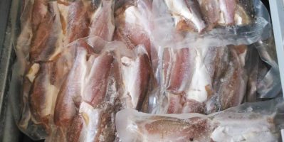 Cá Đù, Cá Dứa – Đặc sản Cần Giờ – Hàng chất lượng, bao ăn
