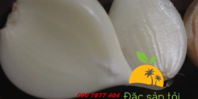 Đặc sản tỏi Phan Rang Ninh Thuận dùng làm gia vị/ thuốc chữa bệnh