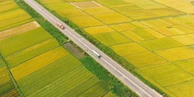 Thăng Bình – Vẻ đẹp yên bình của Quảng Nam