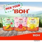 Trà Boh Vị Trái Cây (Đào,Chanh,Xoài)