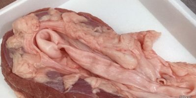 Chẳng Dừng Heo, Sách bò