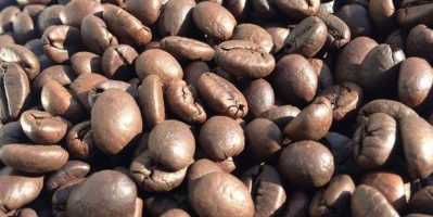 Chuyên cà phê nhân nguyên liệu-cà phê hạt rang cl cao