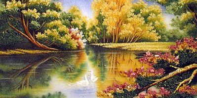 Ngắm hoa dã quỳ tại Đà Lạt