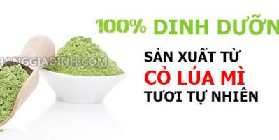Bột cỏ lúa mì hữu cơ mua ở đâu để điều trị ngăn ngừa tiểu đường