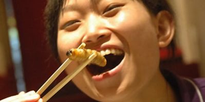 Du Lịch Miền Tây – Ai đã từng ăn Đuông Dừa?