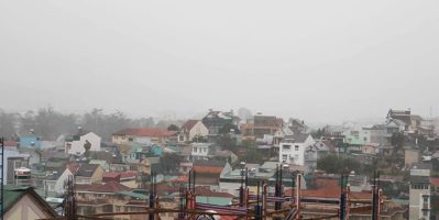 Bão đổ bộ, toàn bộ học sinh được nghỉ học, hàng loạt cây cối ngã đổ
