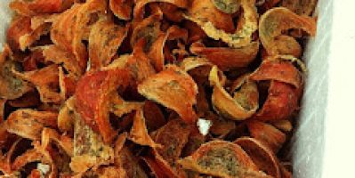ĐẶC SẢN YẾN SÀO TỰ NHIÊN NHA TRANG – KHÁNH HÒA