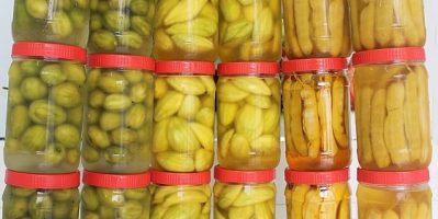 Thảo nhi – chuyên cung cấp trái cây tươi chế biến sẵn, trái cây ngâm chua-ngọt