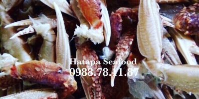 Cung cấp hải sản giá rẻ nhất Việt Nam, hải sản tươi & khô, đông lạnh nguyên chất từ vựa hải…