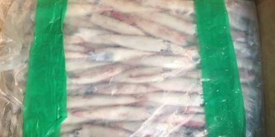 Cung Cấp fillet cá basa, cá Sấu, Bò Úc, Trâu Ấn, Nấm các loại