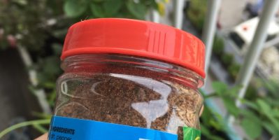 Muối Tiêu Chanh – Sáng Lợi – Đặc sản Phú Quốc