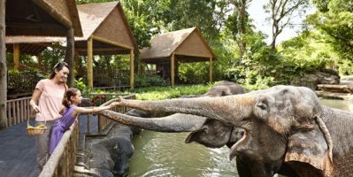 Du lịch Singapore giá thấp vì sao ko