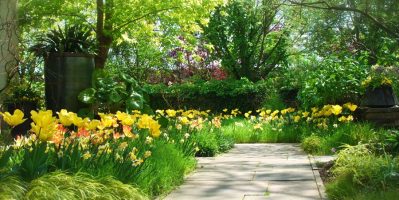 Chuyến tham quan hương sắc 3 khu vườn hoa đẹp nhất ở Mỹ