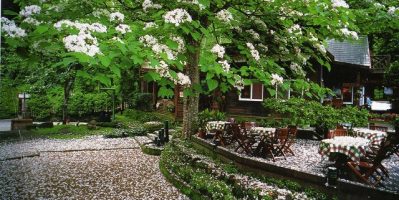 Khám phá 2 lễ hội nổi bật ở Đài Loan