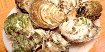 Sự kết hợp giữa Nhum và Hàu món ngon trong ẩm thực Phú Quốc