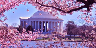 TOP 4 Công Ty Giúp Bạn Hiện Thực Hóa Giấc Mơ Mỹ Tiết Kiệm Nhất