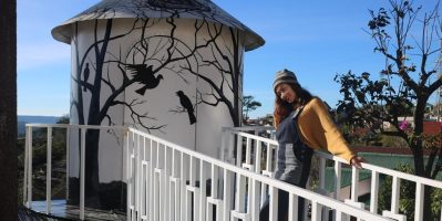 Phát hiện homestay tổ chim “độc lạ, view đẹp” ít người biết ở Đà Lạt