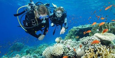Đây Là Lý Di hành khách Chỉ Nên Trải Nghiệm Lặn Bình Khí Scuba Diving và dừng lại ở đó…….