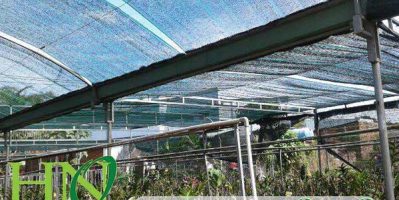 Đơn vị phân phối lưới lan tốt nhất tại HCM