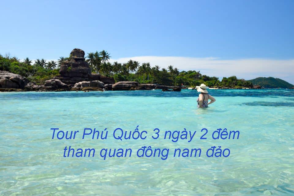 Ảnh 1