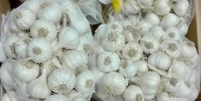 Bán Tỏi Lý Sơn tại Bình Dương – Ship từ Quảng Ngãi