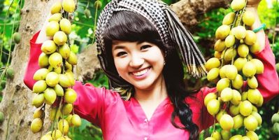 Các miệt vườn nổi tiếng miền Tây sông nước