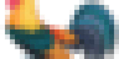 GÀ BÓ XÔI NGON Nha Trang – GÀ BÓ XÔI CHIÊN Nha Trang – 0968 507279 – 299k/con -Ship tận nơi