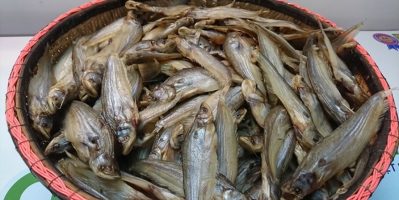 Khô Cá Miền Tây – Cung cấp các loại khô ngon – Cây nhà lá vườn –  Không tẩm hóa chất
