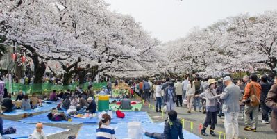 Những Lễ Hội Đặc Sắc Nhất Tại Đất Nước Mặt Trời Mọc