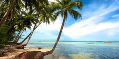 Hà Nội Không gian bình yên giữa muôn ngàn sóng vỗ của Bãi Sao