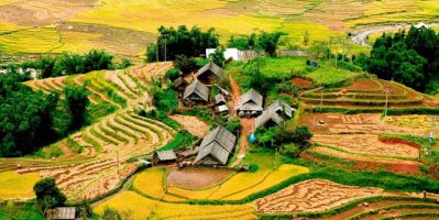 Sapa Bạn đã biết về kiến trúc ruộng bậc thang độc đáo tại Sapa