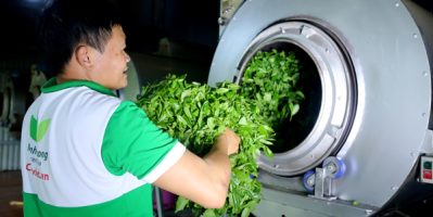 Giá trà thái nguyên minh cường có đắt không