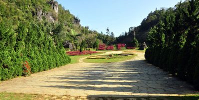 Trải Nghiệm 4 Mùa Ngắm Hoa Không Chán Tại Núi Hàm Rồng Sapa