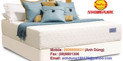 Chuyên sản xuất các loại nệm mousse, nệm lò xo, mẫu mã phong phú và đa dạng