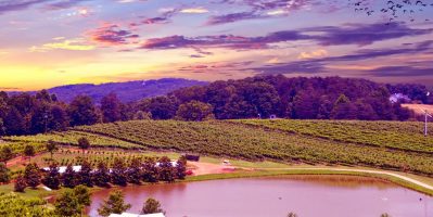 Khám Phá “thánh Địa” Dòng Vang Mỹ Ngon Nhất Thế Giới