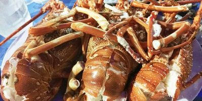 Thưởng Thức Đặc Sản Tôm Hùm Ở Đảo Bình Ba Nha Trang