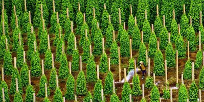 Khám Phá Tour Du Lịch Phú Quốc Trọn Gói 3 Ngày 2 Đêm Giá 4.390.000 Đồng