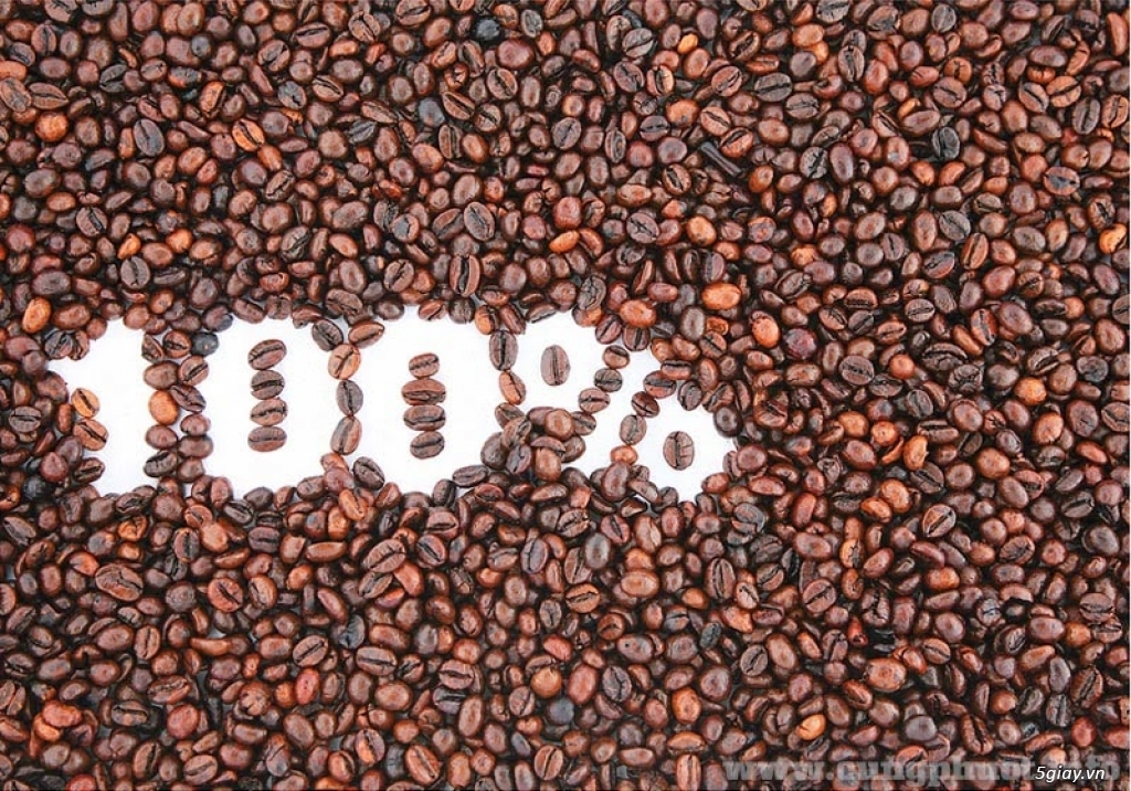 Ảnh 1