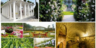 Một Số Nơi Nhất Định Phải Đến Khi Đi Bà Nà Hill