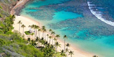 Giá Vé Cano Đi Cù Lao Chàm