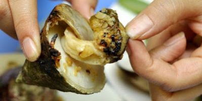 Hà Nội Tận hưởng hương vị hấp dẫn hiếm có của ốc vú nàng