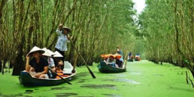 Sắc xanh miên man ngút ngàn của miền Tây