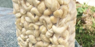 Cung cấp xuất khẩu hạt điều chế biến sâu sang đài loan trung quốc